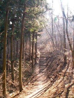 PICT0066