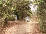 PICT0058
