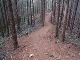 PICT0092