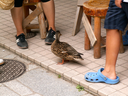 PICT0023