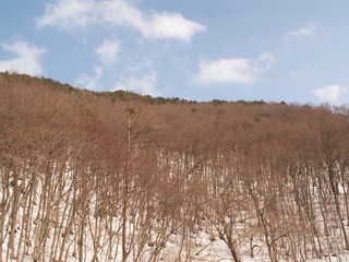 PICT0091