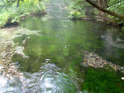 PICT0059
