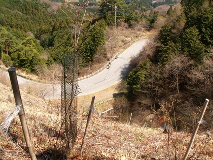 PICT0093