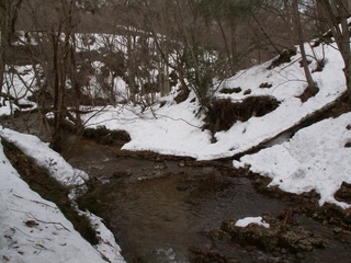 PICT0031_4