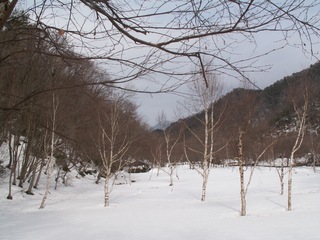 PICT0048_4