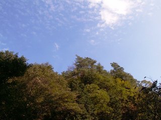 44青空1