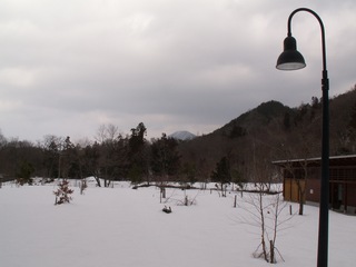 PICT0077