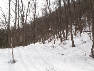 PICT0056_4