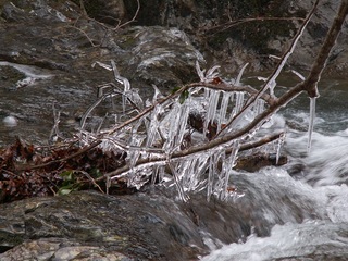 PICT0033_4