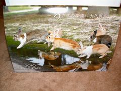 PICT0003