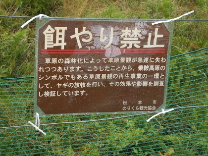 PICT0126