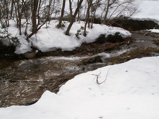 PICT0020_4