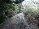 10登山道
