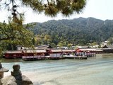 07神社本殿方面