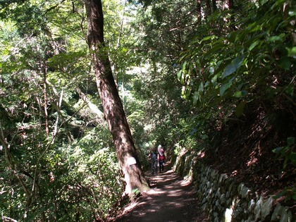 PICT0041