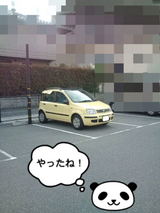 BlogPaint