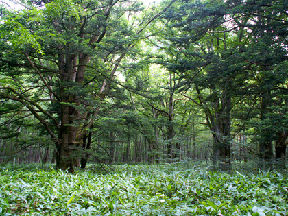 PICT0091