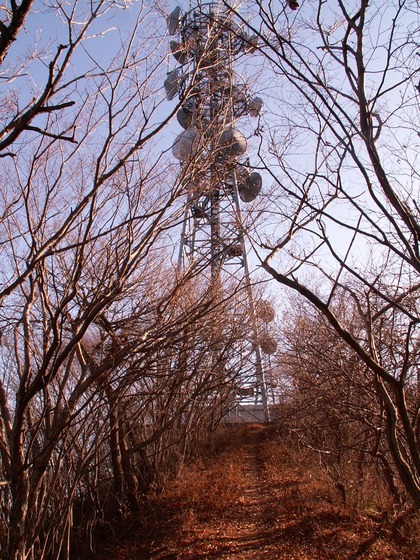 PICT0028