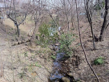 IMG_1257