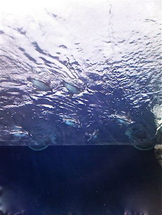 P1000939