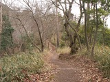 PICT0025