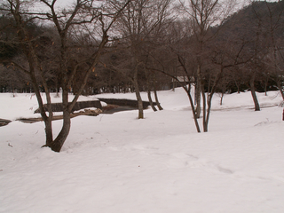 PICT0004_11