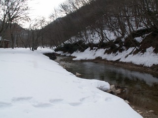 PICT0064_2