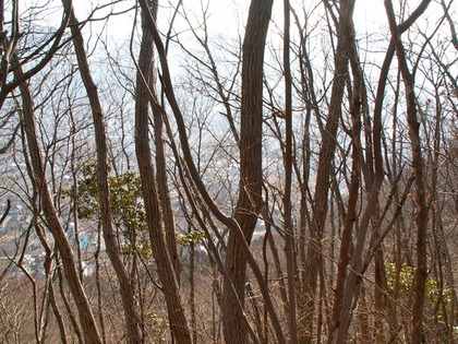 PICT0035