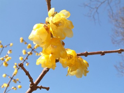 PICT0080