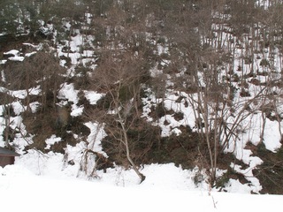 PICT0045_4