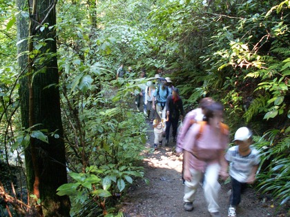 PICT0049