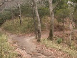 PICT0029