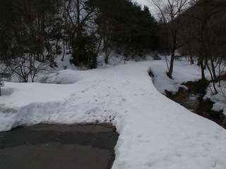 PICT0012_7