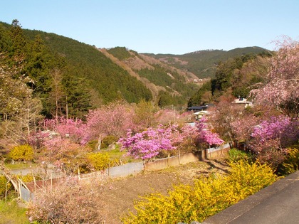 PICT0019
