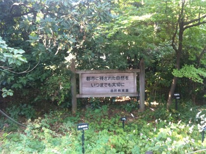 自然教育園01