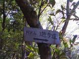 遊歩道看板