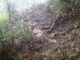39下ってきた登山道
