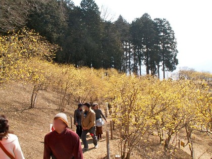 PICT0084