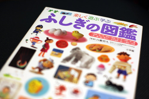 fushiginozukan1