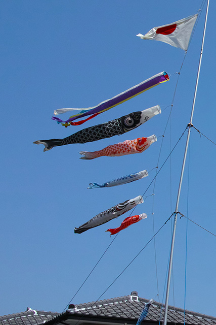 koinobori