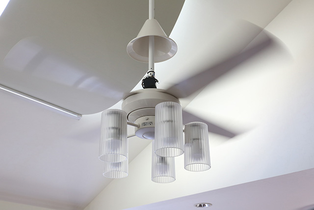 ceilingfan_shindou