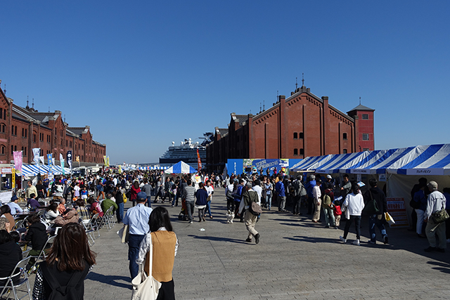 DSC05384