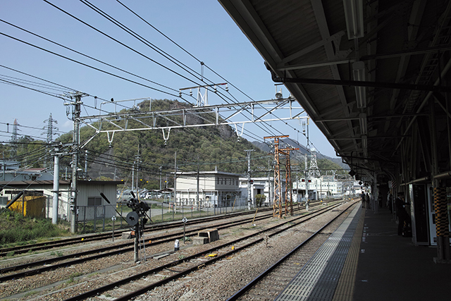 iwadonosan1