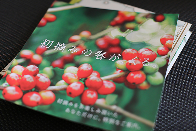 hatsuzumi2013_1