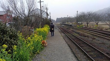 いすみ鉄道36