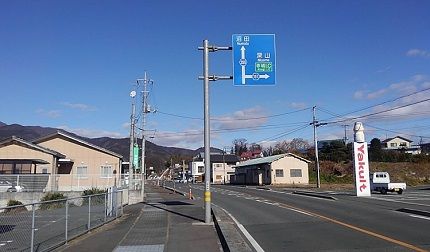 ヒメギ03