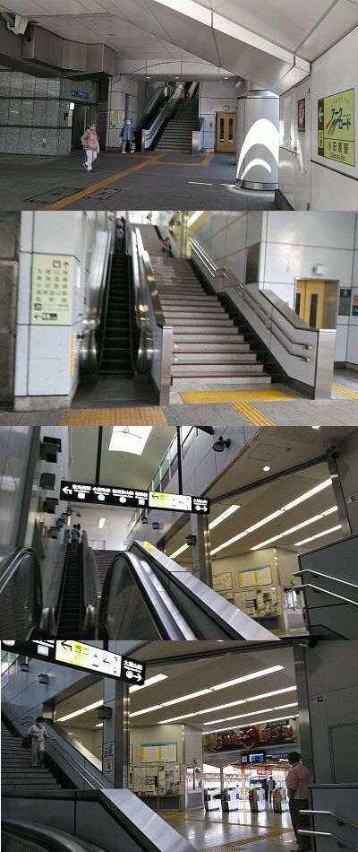 伊豆箱根鉄道大雄山線19