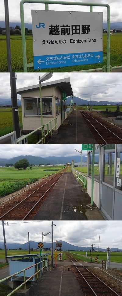 越美北線_九頭竜線a15