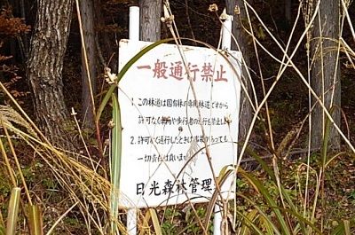 野岩鉄道56