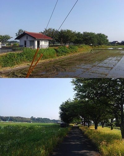 倉吉線34
